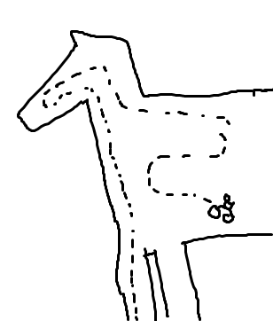 A dotted line travels up the leg, around the head, and takes a winding path through the body of a silhouette of a horse.