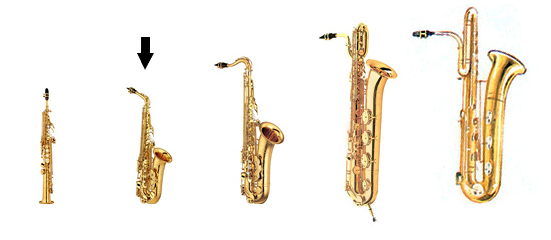 5 saxophones in increasing size order, with an arrow pointing to the 2nd one