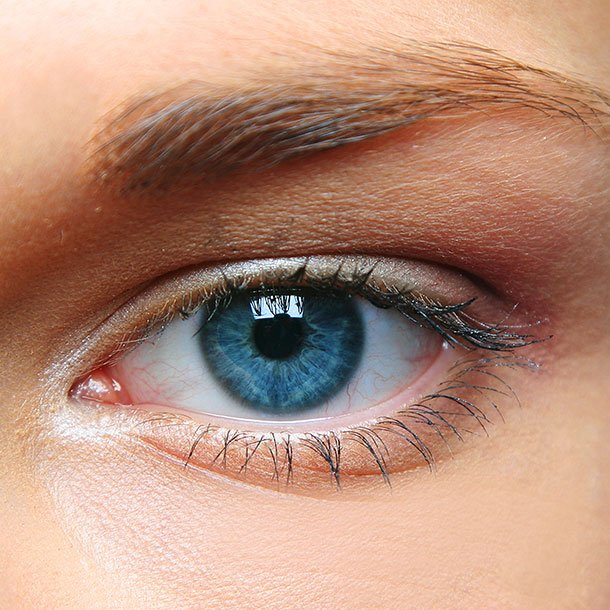 Brown eyebrow above left eye with blue iris